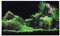 3D Effekt Meeresboden Wasser Gras Poster Selbstklebende Reptilien Terrarium Aquarium Hintergrund Aquarium Wandaufkleber Aquarium Hintergrund Unterwasser Poster PVC Dekor Tapete (122 x 46 cm)