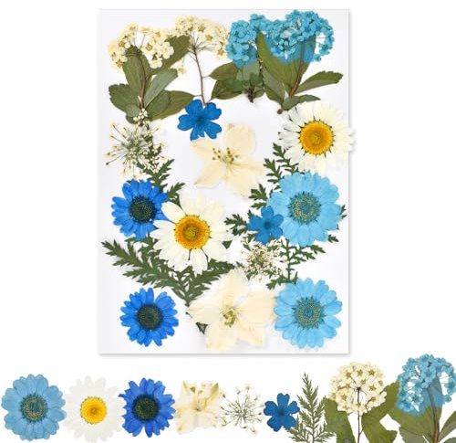 Gepresste Blumen, Natürliche Getrocknete Blumen, DIY Getrocknete Blumen, Trockenblumen zum Basteln, Klein Getrocknete Blumen Deko für DIY Scrapbooking Kunsthandwerk Schmuck Dekorationen (Blau)