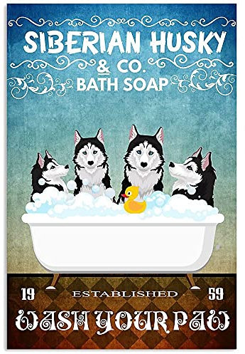 Blechschild Sibirischer Husky Bad, Metall-Blechschild, Retro-Stil, Metallposter, Blechschild, Vintage-Wanddekoration für Café, Bar, Pub, Zuhause, Bierdekoration, Basteln, 20,3 x 30,5 cm