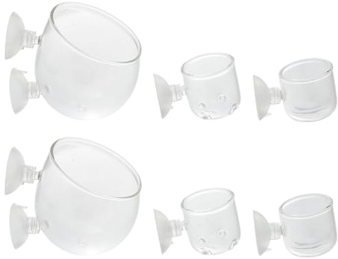 Ciieeo 6 Stück Glas Aquarienpflanzgefäß Mit Saugnapf Wasserpflanzentöpfe Aus Glas Kompakt Klar Für Aquarium Und Fischbecken Aquarienpflanzenhalter Für Natürliche Aquarienumgebung