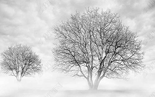 Papier Peint 3d Murales Panoramique Paysage D'Arbre Gris Noir Et Blanc Papier Peint 3d Tapisserie Salon Chambre Moderne Decoration Murale Wallpaper 430x300cm