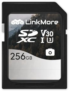 LinkMore Scheda di memoria SDXC da 256 GB, scheda SD UHS-I U3 V30 Classe 10, lettura fino a 95 MB/s, scrittura fino a 60 MB/s, per fotocamera, videocamera e computer (Mist SD3C)