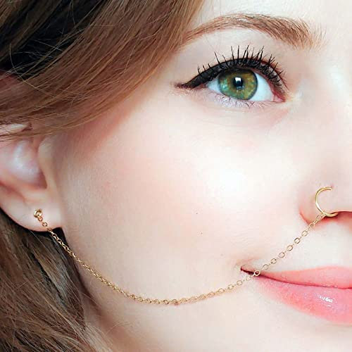 Wendalern Nose to Ear Chain Gold Plated Nose Ring Studs Hypoallergenic Surgical Steel Nose Rings Retro Ear Hook Nose Hoop Nostril Piercing Jewelry for Women