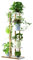 iondelce 6 Etagen Hohe Pflanzenständer,106cm großes Metall Blumentöpfe Regal für mehrere Pflanzen, Tiered Plant Holder Display Rack für Garten Terrasse Büro Wohnzimmer Weiß