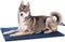 pecute Haustier Heizkissen, Elektrisch Haustier Heizdecke für Hunde Katzen, Heizdecke Hundematte mit Konstante Temperatur, Elektrische Heizdecke Weicher Wärmedecke (L, 50x65cm)