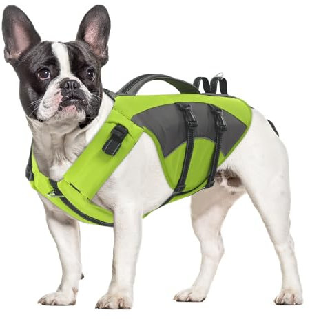 CITÉTOILE Gilet de Sauvetage pour Chien, bouée de Sauvetage réglable pour Chien Ripstop avec Poignée réfléchissant, adapté aux Sports Nautiques, Dog Life Jacket, Vert, M