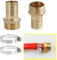 Jecdfs 2pcs boquillas de manguera de latón de 1 pulgada,Conector de Manguera AG x 25 mm con 2 Abrazaderas y Cinta de Sellado de Rosca, para Uso en Jardín y Exteriores, Resistente a Corrosión y Heladas