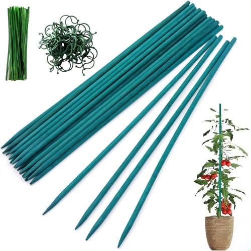 40cm Garden Stakes Bamboo Sticks Plant Support Sticks with 30 Pcs Twist Ties and 30 Pcs Plant Clips, Garden Sticks for Garden Home Vegetables Flowers Fruit Support and Floral Making (30 Pcs)