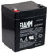 FIAMM Batterie de remplacement APC Back-UPS ES 500