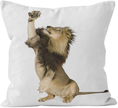 Nimvoya Lin Tapis de Souris Gamer XXL Anime Tapis Souris Nature 45x45cm, Lion Tapis de Souris Pas Cher Tapis Souris XXL Gamer Décoration de Canapé de Salon 1Pcs