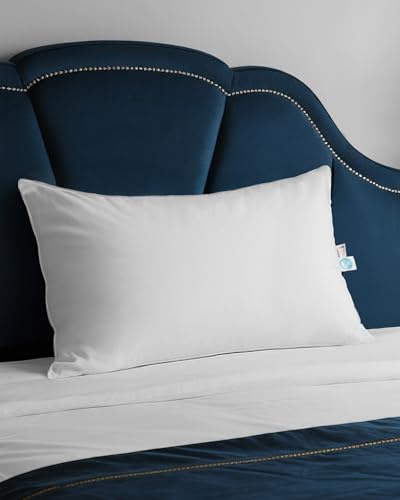 finbuco Natürliche Gänsedaunenkissen: 80x80cm Luxuriöses Hotel-Bettkissen mit 750 Füllkraft, weiße Gänsedaunen, Schlafkissen mit Kissenbezug, weiches Kissen für Rücken, Seite, Bauchschläfer, 1 Stück