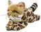Teddys Rothenburg Kuscheltier Ozelot Savannah-Katze 30 cm beige/braun getupft Plüschozelot