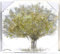 GILDE Gemälde Baum handgemalt naturfarbig-Gold-Silber ca. 50 x 50 cm(BxH)