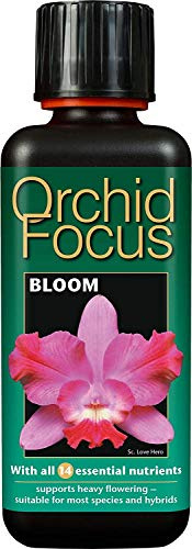 2 X Orchid Focus Bloom 300ml