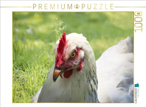 CALVENDO Puzzle Glückliche Freilandhühner | 1000 Teile Lege-Größe 64 x 48 cm Foto-Puzzle für glückliche Stunden