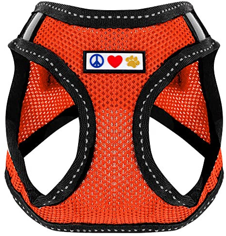Pawtitas Pet Reflektierendes Hundegeschirr Geschirr zum Hineintreten oder Umlegen, Komfortsteuerung, Trainieren Sie den Spaziergang Ihres Welpen/Hundes - Extra Extra Klein Hundegeschirr Orange