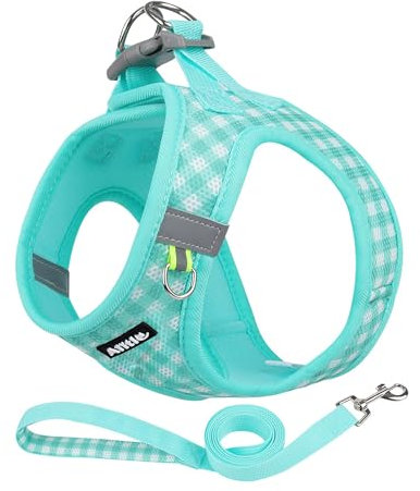 AIITLE Atmungsaktives Hundegeschirr aus Netzstoff, No-Pull-Westengeschirre mit reflektierenden Bändern, verstellbare Haustier-Outdoor-Geschirre für kleine und mittelgroße Hunde, Türkis, M