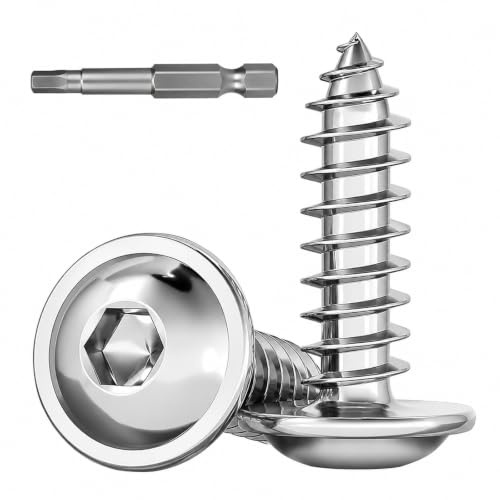 Zynthor 50Pcs M4 x 10mm Pan Head Self Tapping Wood Screws | 304 Stainless Steel Hex Socket Screws, Small Screw for Wood, Plastic, Furniture and DIY Fixing
