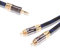 Kuyiohifi doppia schermatura AUX da 3.5 mm a 2 RCA audio cavo adattatore KU-R035-5M