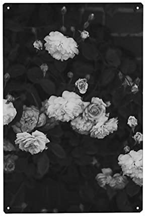 artboxONE Metall-Poster 20x30 cm Natur Black and White Roses von Künstler Ruby and B