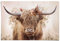REINDERS Poster, Highlander in Blumen, Wohnzimmer, Poster, Wanddeko, Room Decor, 150 gr. glänzend Bilderdruckpapier, Beige, 61x91,5cm