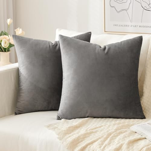 Slozzi 2er Set Samt Kissenbezüge Haushalt Dekokissen Dekorative Kissenhülle Weich Sofakissen für Sofa Schlafzimmer Wohnzimmer 45x45 cm Grau