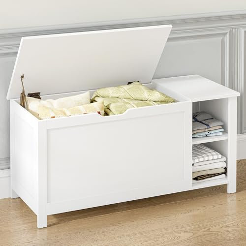 Hzuaneri Cassa Portaoggetti con 2 Scomparti, Cassapanca, Panca Portaoggetti, Panca Scarpiera, 1 Cerniere di Sicurezza, per Corridoio, Camera da Letto, Soggiorno, 40 X 100 X 48,5 cm, Bianco, SB25903X