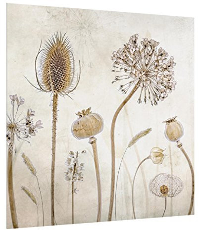 Bilderwelten Paraschizzi in Vetro - Growing Old - Quadrato 1:1, Pannello paraspruzzi per Parete Cucina, Piano Cottura, Misura (AxL): 59cm x 60cm