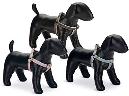 Beeztees Designed by Lotte Hundegeschirr, Nylon, 25 mm x 60-100 cm, Hellrosa