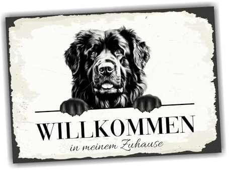 siviwonder Hundeschild Willkommen Zuhause Neufundländer Neufi No.2 Dog Schild Spruch Türschild Warnschild Geschenkidee schöner Spruch Hundemotiv Aluminium Wetterfestes Hundeschild
