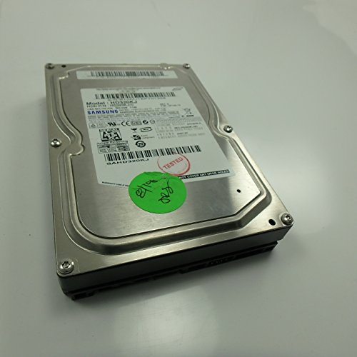 Samsung HD321KJ - Hard disk interno SATA da 320 GB, 8 MB, 7200 RPM