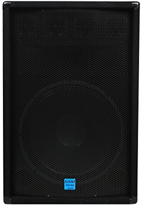 Gemini GSM-1585 - passiver PA Lautsprecher - 700W Peak - 175W RMS - 15 Zoll