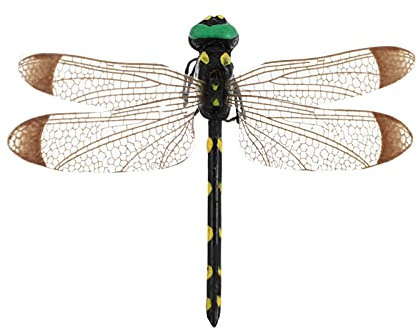 Cabilock Realistisches Libellen-Ornament Wanddekoration Für Dekoration