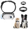 Luocute Haustierhalsband-Kamera, 120-Grad-Objektiv, Mini-Action-Kamera mit OTG-Anschluss, Videoaufzeichnung, Verstellbare Magnetische Katzen-Sportkamera für Outdoor-/Inoor-Aktivitäten