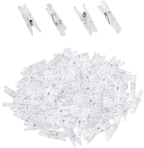 Mini Mollette da Bucato,100 PCS 25 mm Trasparenti Piccole Clip Fotografiche Pioli Mini Clip con Molla Mollette da Appendere Decorazione per Feste Artistiche e Artigianali Album di Ritagli