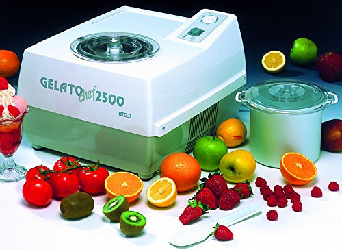 Pâle inox professionnel adaptable pour la Sorbetière de Réf. 265102