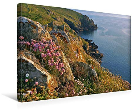 Premium Textil-Leinwand 45 x 30 cm Quer-Format Blumenküste Cornwall | Wandbild, HD-Bild auf Keilrahmen, Fertigbild auf hochwertigem Vlies, Leinwanddruck von SusaZoom