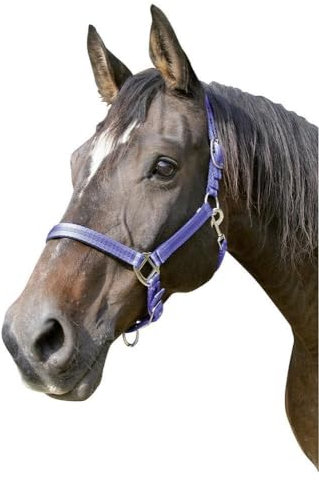 Kerbl Halfter Mustang 2-Fach verstellbar, Blau/Schwarz, 2, 321967