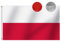Omnisexual Bandiera della Polonia resistente, 3x15 m, strisce cucite di lunga durata, colori vivaci e resistenti ai raggi UV e bandiere nazionali polacche di alta qualità, 150x90 cm