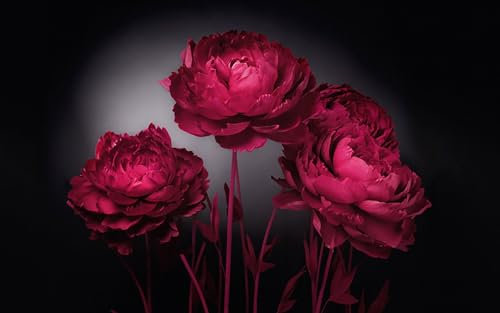 Papier Peint Panoramique 300X500Cm Pivoine Rouge Poster Mural Pour Salon Chambre Décoration Murale, Papier Peint Intissé 3D Chambre Enfant,Chambre Fille,Personnalisable