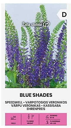 Zalia stotele | VERÓNICA | SOMBRAS DE AZUL Semi | Semillas de flores | Semillas de plantas | Semillas de jardín | 1 paquete
