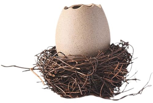 1 Set Eggs Bird Eggshell Planter Ostrich Eggshell Flower Pot Flowerpot Arrangement twig Bird nest Alien Utensils Eggshell Container Bird nest Desktop Bonsai Planter vase
