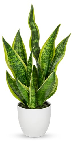 Hollyone 45CM Artificial Snake Plant in White Pot, Fake Potted Plant for Table, Yellow and Green Faux Sansevieria for Home Decor, Kitchen, Bathroom, Living Room, Shelf Decorations