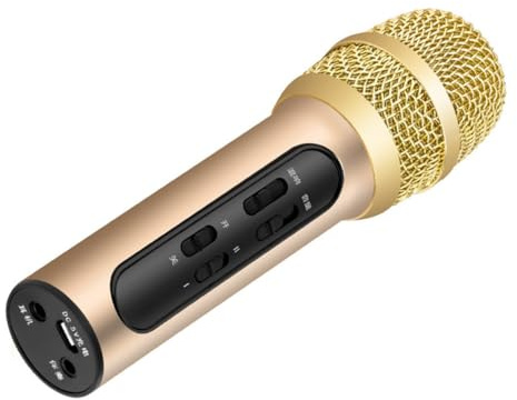 ULDIGI Handmikrofon für Lebendiges mit Echo Sound Modus 1 Satz Aluminium Kunststoff Gehäuse Geeignet für Karaoke