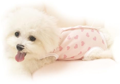 Teacup Dog Clothes Catch Cold Prevetion Fully Belly Protection Small Teacup Dog Outfit for Spring Autumn (Little Red Heart M)