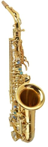 Saxophon Altsaxophon Es Blasinstrument Anfänger Einsteiger Prüfung Auftritt