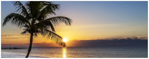 Wallario Küchenrückwand selbstklebend 115 x 50 cm, Motiv: Palme am Strand - Sonnenuntergang über dem Meer | Spritzschutz abwischbar & pflegeleicht