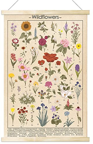 Vintage Wildblumen Poster botanische Wandkunstdrucke bunter rustikaler Stil des floralen Wandbehangs Illustrative Referenz Blumendiagramm Poster für Wohnzimmer, Büro, Dekorrahmen, 40 x 60 cm