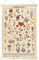 Vintage Wildblumen Poster botanische Wandkunstdrucke bunter rustikaler Stil des floralen Wandbehangs Illustrative Referenz Blumendiagramm Poster für Wohnzimmer, Büro, Dekorrahmen, 40 x 60 cm