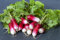 1000 Samen Radieschen Rot Weiß Flamboyant 3 French Breakfast Gemüse Vegi